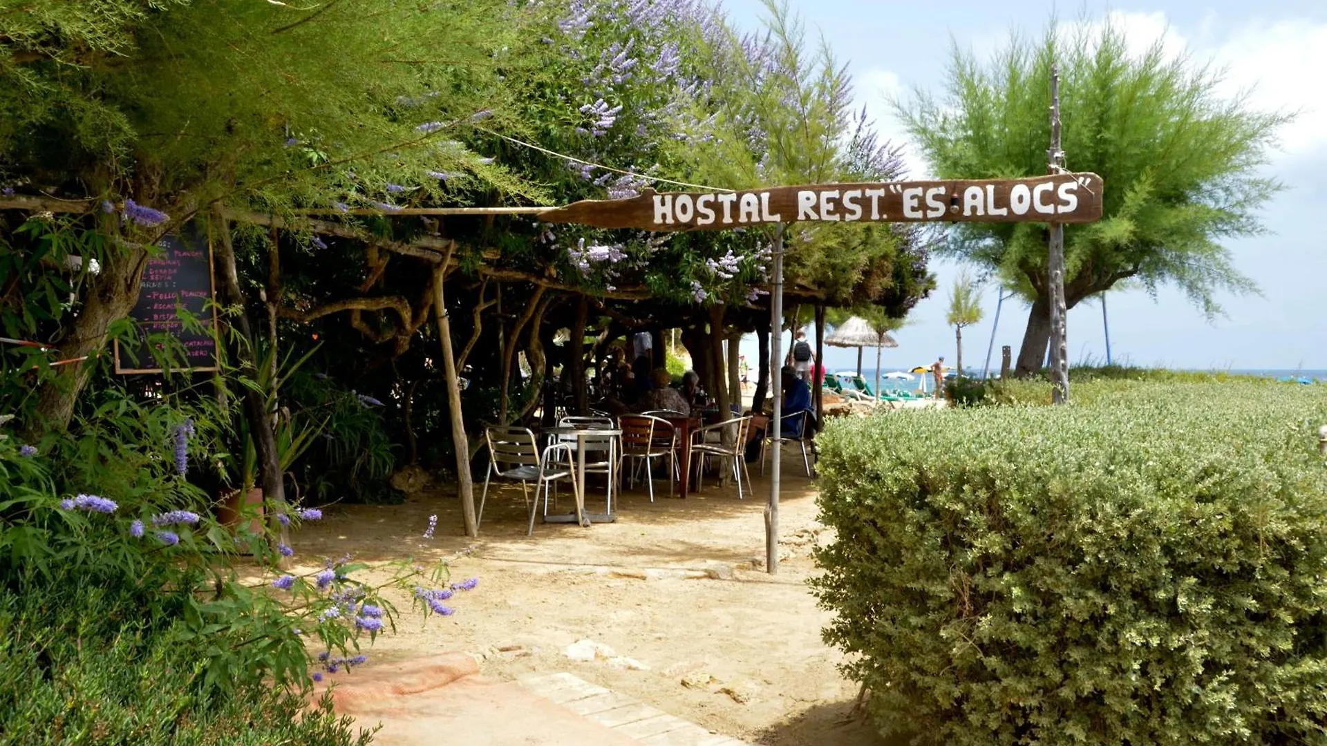Hostal Alocs Playa DPlaya Des Figueral Gasthuis